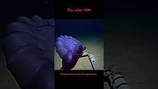 We've Barely Seen the Deep Sea