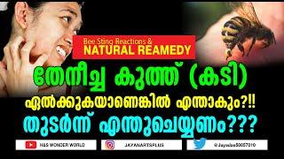 Bee Sting & Natural Reamedy 8 Home Remedies And Natural Treatments For Bee Stings