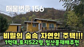 [매물번호 156]비밀의 숲속, 자연인주택! 1억대, 520평대, 임산물재배추천 #밀양부동산 #밀양촌집 #밀양전원주택 #촌집 #전원주택