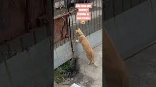 Always curious 
