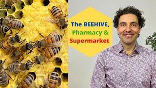 Apitherapy - The Beehive is your Backyard Pharmacy & Supermarket