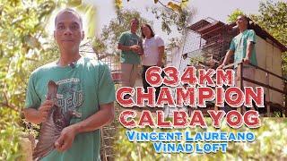 634km Champion | Vincent Laureano Vinad loft