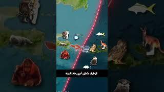 خط عجیب کره زمین !