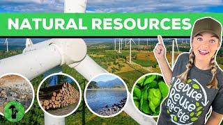 Natural Resources | Renewable & Nonrenewable Resources