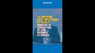 "La proteína está impactando al pueblo": Ministro de Agricultura de Cuba reconoce la debacle 