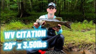 Nikko HELLGRAMMITES catch GIANT smallmouth!