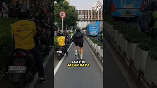 Jalur sepeda gak cocok di Indonesia