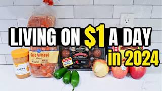 Eating for $1 a Day | Full Week of Cheap and Healthy Meal Ideas You Need to Try in 2024