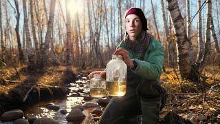 Katya extracts birch sap in the forest! ONE DAY IN A UKRAINIAN VILLAGE