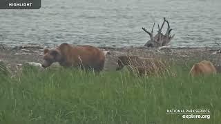 Kat's River View - Katmai National park | Highlights 2023