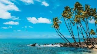 Caribbean Beach Jazz 24/7Relaxing Tropical Music & Bossa Nova with Ocean Waves Sounds for Good Mood