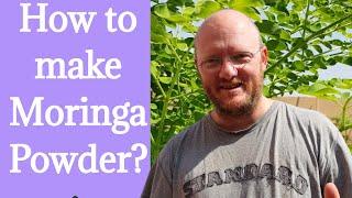 HOW TO MAKE MORINGA POWDER at Home|Bee13Bux