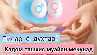 Ташхиси  генетики. Чинсият кай малум мешавад? Барои чи зарур аст?