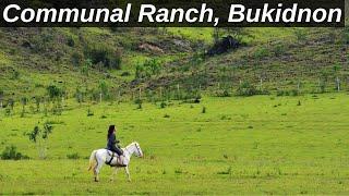 Communal Ranch - Impasug-ong, Bukidnon Province, Philippines - Walking Tour