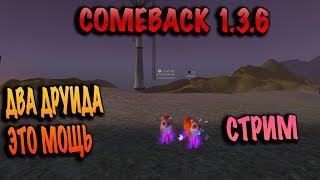 Мощный фарм в два друида на comeback pw 1.3.6