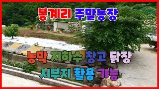 255 봉계리 주말농장매매 깊은 산속 기계주말농장매매 도로가 좋은 포항밭매매 지하수가 설치되어 있는 포항주말농장매매 주말농장과 전원주택 기계부동산 포항부동산 지목부동산 경북부동산