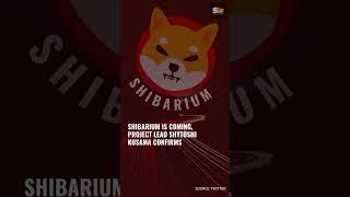 Shibarium Is Coming | Shibarium News #shorts #shortsvideo #viral