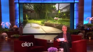 Ellen Real Estate Humor