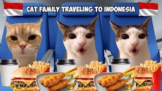 Cat Memes Roadtrip Vacation Compilation