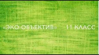 Всё в наших руках. Работа экологической группы "Замандаш" (11 класс)