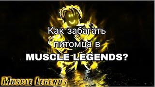 КАК ЗАБАГАТЬ ПЕТА В MUSCLE LEGENDS? ОТВЕТ ТУТ!!!!