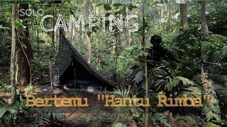 Solo Camping Overnight in the Pine Forest | Relaxing in the cosy tarp tent shelter