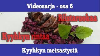 Osa 6 - Kyyhkyn metsästystä ja riistaruokaa (mustikkarisotto) - kausi 2019/2020