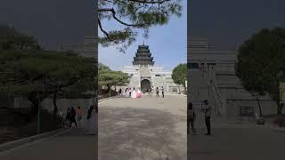 Beautiful Cherry Blossoms and Hanbok in National Folk Museum of Korea, Seoul