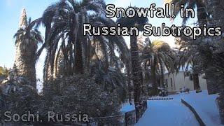 Snowfall in Russian Subtropics