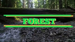 Forests