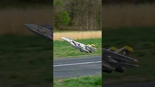 F-14A Tomcat High Alpha Pass #aviation #rc #rcplane
