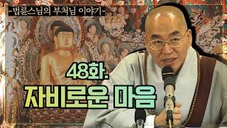 [법륜스님의 부처님이야기] 48화.  자비로운 마음