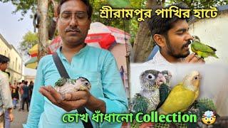 Serampore Pet Market | Recent Bird Price Update | Premium Quality Red Sun Conure, Lorikeet Etc.