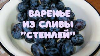 Варенье из сливы без косточек на зиму | Очень вкусный рецепт