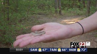 The surprising source of glass along Turkey Mountain trails