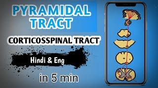 Pyramidal tract /Corticospinal tract in hindi & English/ #neurology