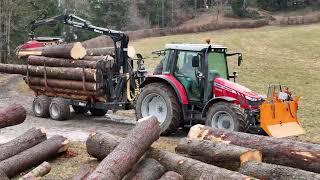 Forestry work: Logging | Timber transport | Processing | MF 5430, MF 4225, Nokka 952, Tiger, 2024