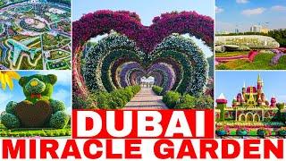 Dubai Miracle Garden | Day & Night View | Walking Tour Vlog | 2024