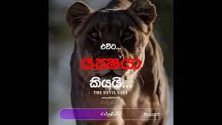 එතනට යන්න #yazath #shorts