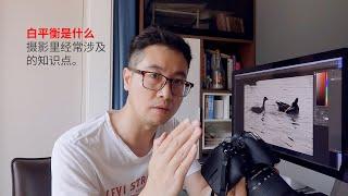 【摄影知识】什么是白平衡？白平衡与色温的关系，以及如何选择白平衡，我说完你就明白了！