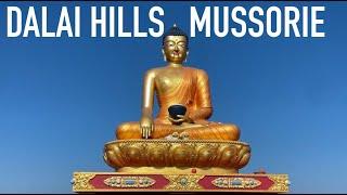 Exploring Dalai Hills Mussoorie Trip | How to Reach Dalai Hills | #vlog