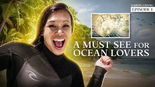 Aaron Chang Ocean Art Gallery Episode 1: A MUST-SEE For Ocean Lovers & Surfers