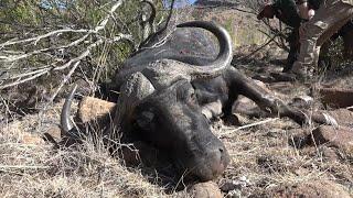 Nick Bowker Hunting - African Hunting Safari