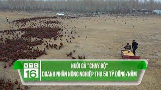 Nuôi gà "chạy bộ", doanh nhân nông nghiệp thu 50 tỷ đồng/năm | VTC16