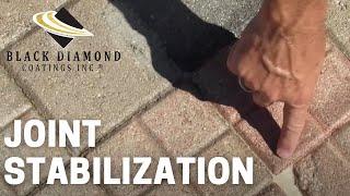 Joint Stabilization