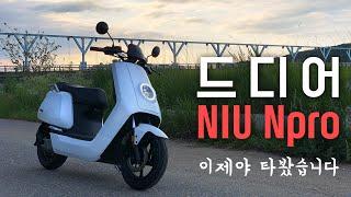 [포마] 100만원대 전기스쿠터 NIU Npro 드디어 타봤습니다. 전동스쿠터 정부보조금 확인 필수 |포켓매거진