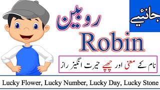 Robin Name Meaning in urdu | Robin Naam ka Matlab kya hota hai