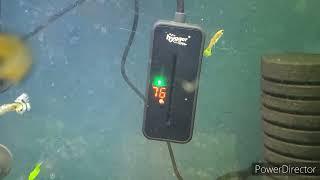 Hygger Tiny Titan 100 watt heater!!!