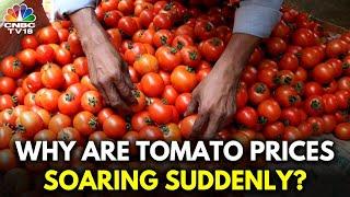 Tomato Prices Soar Amid Monsoon Delay and Heatwave: Pune Market Report | N18V | CNBC TV18