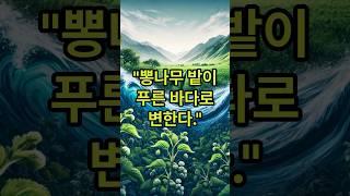뽕나무 밭이 푸른 바다로 변한다-상전벽해 #변화 #사고 #생각의힘 #회복탄력성 #회복